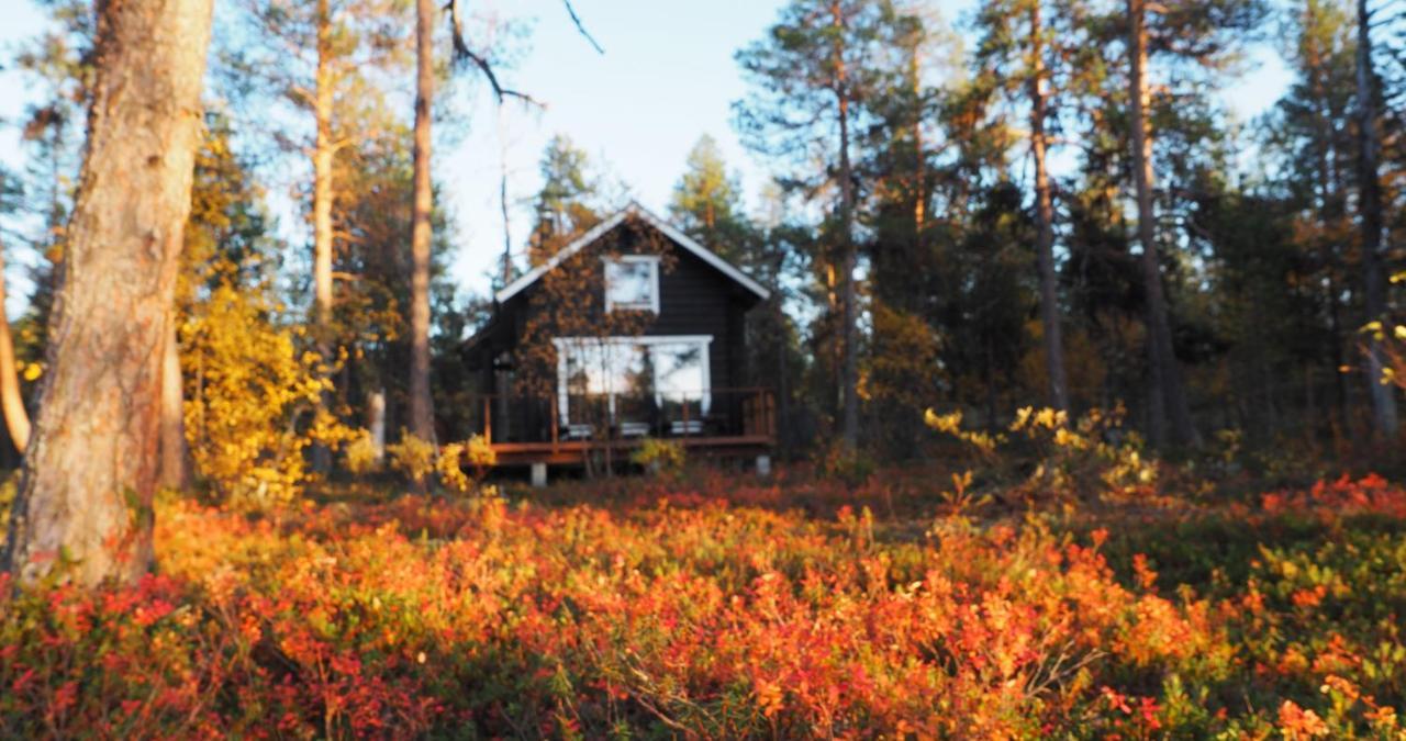 Lapintintti Eco-Cabin In Inari Εξωτερικό φωτογραφία